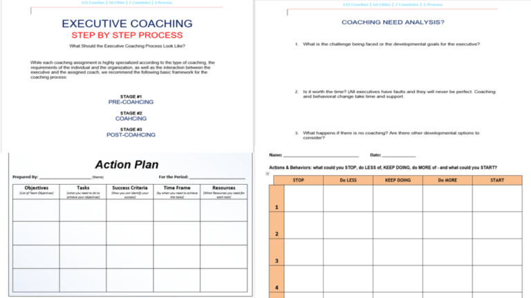 Coaching Documents and Toolkit - Leadership Insights